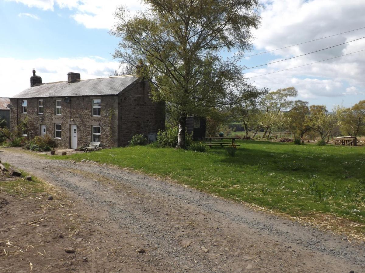 Hillis Close Farm Cottage Haltwhistle Zewnętrze zdjęcie
