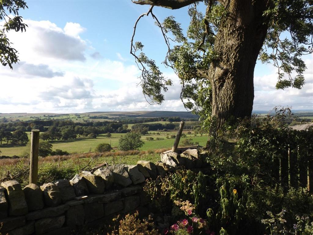 Hillis Close Farm Cottage Haltwhistle Zewnętrze zdjęcie